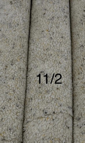 1000017411.jpg